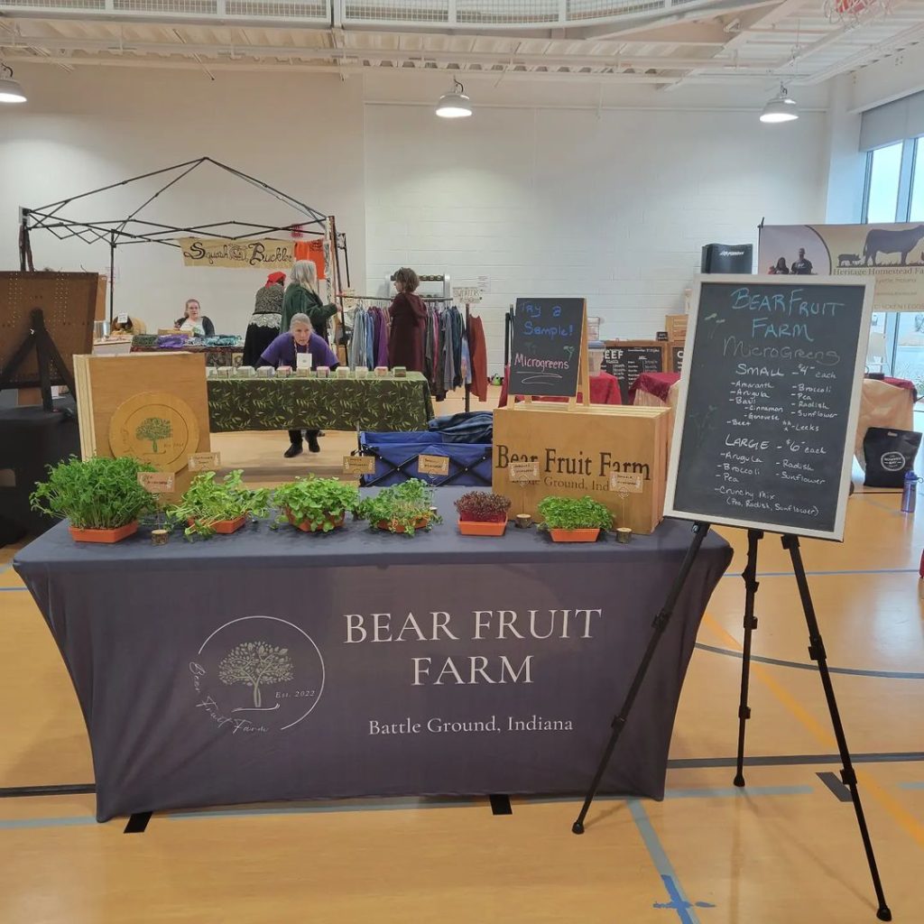 403852110_902082501521647_6007229001952682395_n