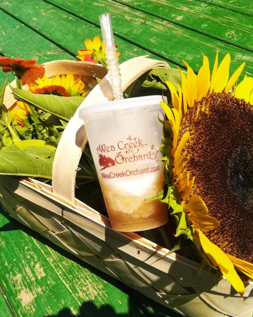 361089790_772492568212581_3911322244155463502_n