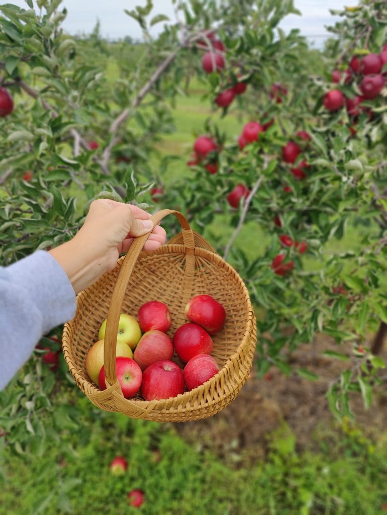 367466262_798330538962117_5690318038750955211_n