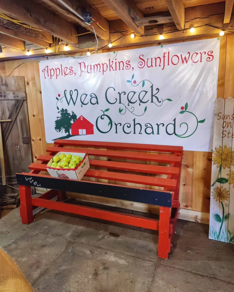 369989260_800926855369152_7350682893100867894_n