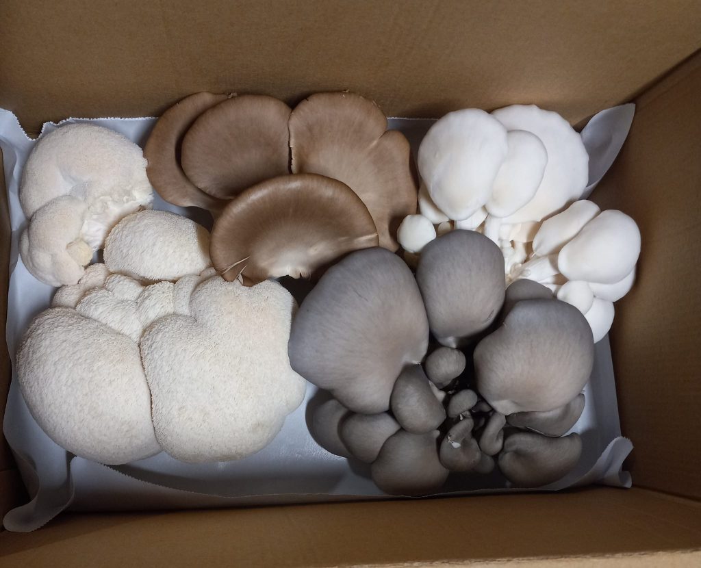 419071075_372285315622246_541695582847382665_n