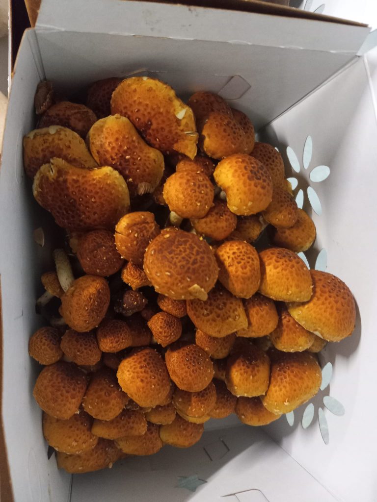 419071251_385505094300268_6269451543733956835_n