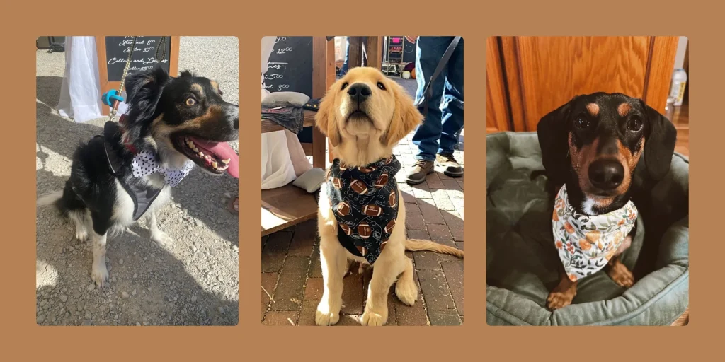 IMG_5603_1701879276 (1)