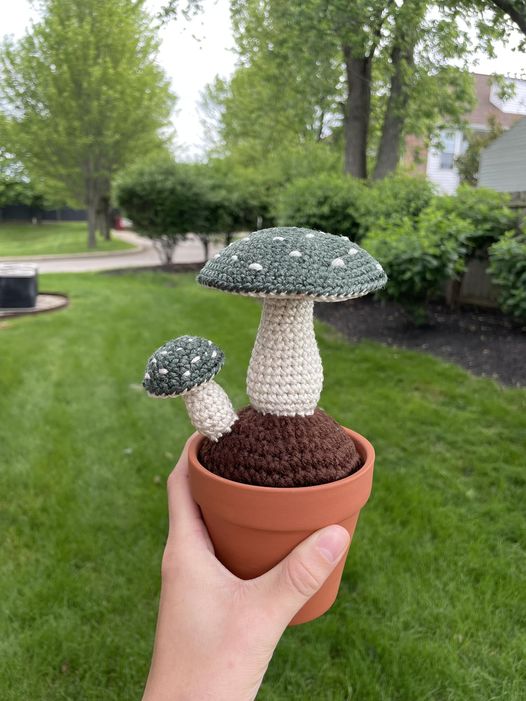 436354870_122136294392241919_409107648104698440_n