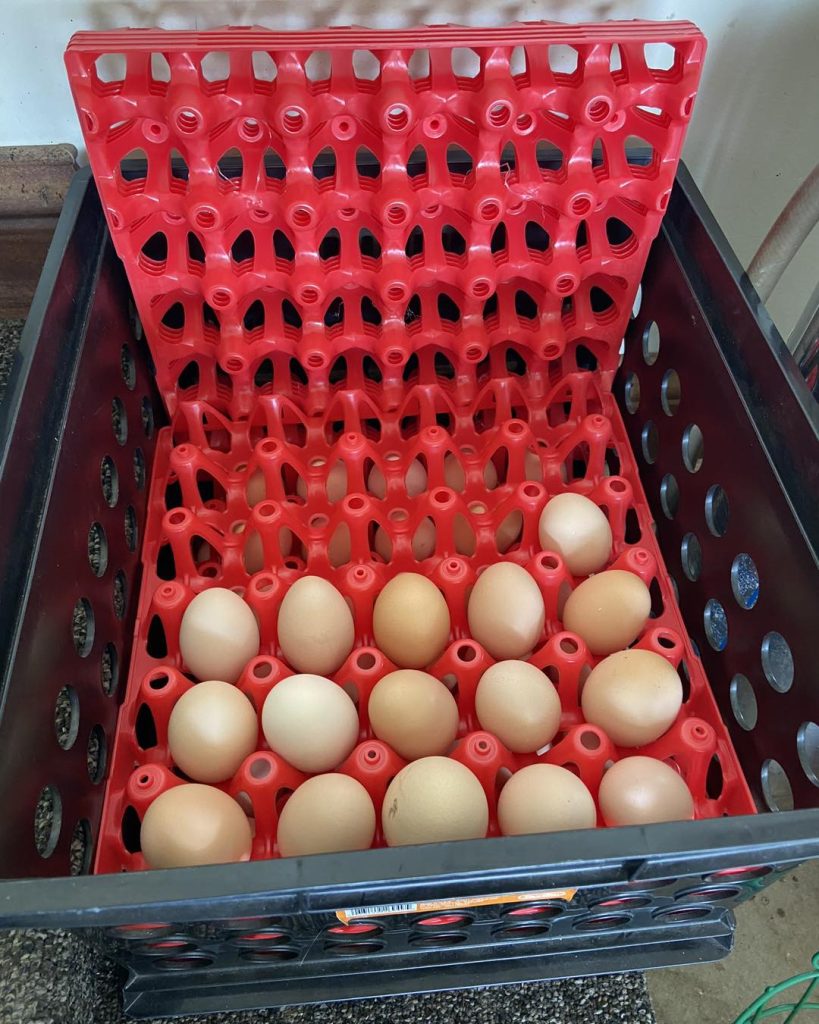 487484664_1194486909355187_3591531969968857004_n