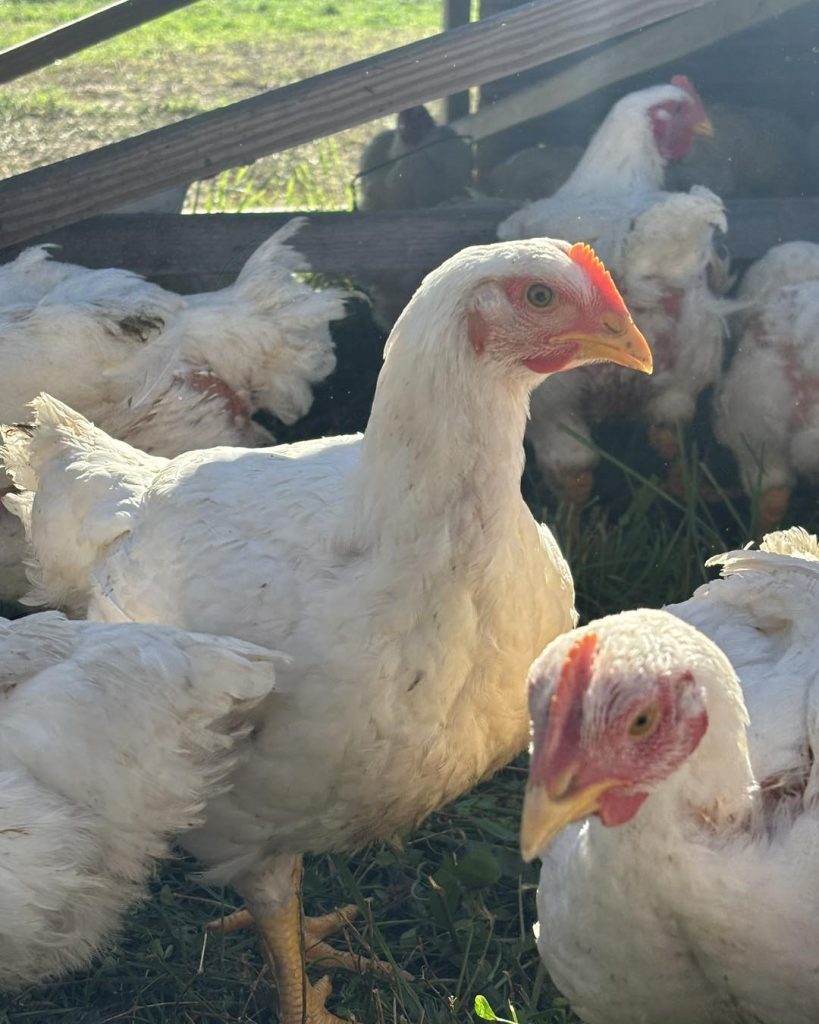 490383703_1210305957773282_5114910598374530186_n